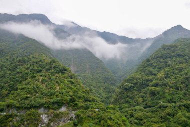 Taroko Ulusal Parkı manzaralı yüksek yeşil dağ Taroko Ulusal Parkı, Xiulin Kasabası, Hualien, Tayvan
