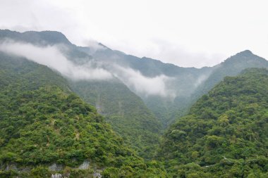 Taroko Ulusal Parkı manzaralı yüksek yeşil dağ Taroko Ulusal Parkı, Xiulin Kasabası, Hualien, Tayvan