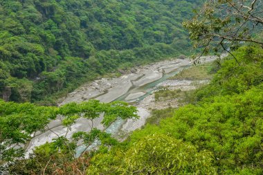 Küçük dereli yeşil dağ geçidi Hualien County, Xiulin Township, Tayvan 'daki Taroko Ulusal Parkı' nda ormanın ortasından akar.