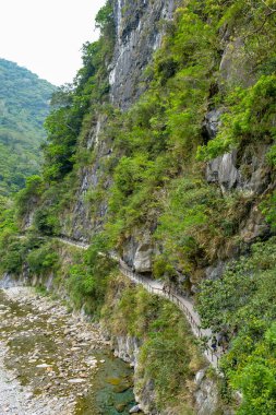 Shakadang Patikası (Gizemli Vadi Patikası) Taroko Ulusal Parkı, Xiulin, Hualien, Tayvan 'daki Taroko Boğazı' nın yeşil dağ ve turkuaz su akıntısı boyunca uzanır.