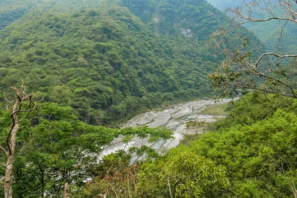 Зеленое Горное Ущелье Небольшим Ручьем Протекает Через Середину Леса Национальном — стоковое фото