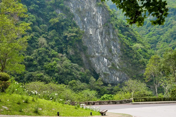 Зеленое Горное Ущелье Входа Национальный Парк Таро Уезде Хуалянь Поселок — стоковое фото