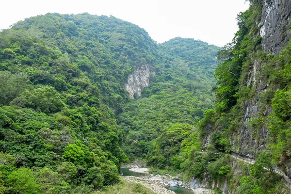 太魯閣国立公園 台湾の太魯閣渓谷の緑の山とターコイズブルーの水の流れを通る釈迦堂歩道 — ストック写真