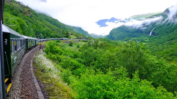 Flamsbana tren hattı Norveç 'in güzel doğa manzarası boyunca uzanır. Yeşil orman ve dağlar.