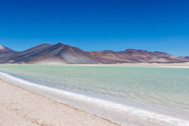 Şili altiplano Miscanti lagünü ve San Pedro de Atacama, Antofagasta, Chili, Güney Amerika yakınlarındaki Minique volkanı.