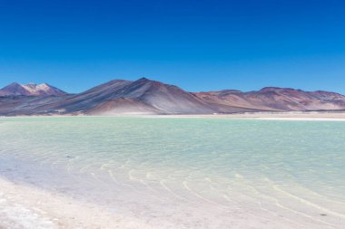 Şili altiplano Miscanti lagünü ve San Pedro de Atacama, Antofagasta, Chili, Güney Amerika yakınlarındaki Minique volkanı.