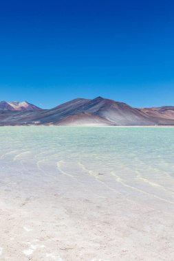 Chile altiplano Miscanti lagoon and Minique volcano near San Pedro de Atacama, Antofagasta, Chili, South America clipart