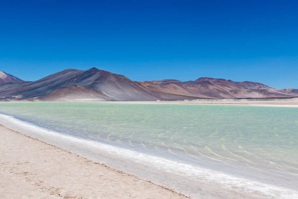 Lagune Chili Altiplano Miscanti Volcan Minique Près San Pedro Atacama — Photo