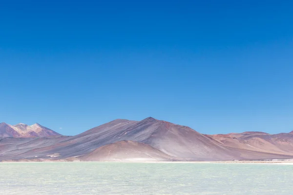 Chile Altiplano Miscanti Lagune Und Minique Vulkan Der Nähe Von — Stockfoto