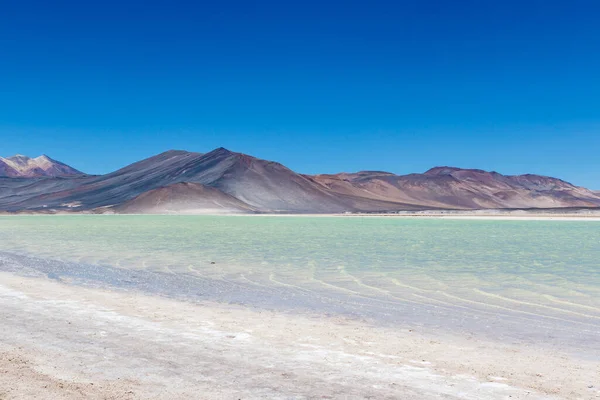 Chile Altiplano Miscanti Laguna Sopka Minique Poblíž San Pedro Atacama — Stock fotografie