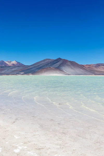 Λίμνη Miscanti Και Ηφαίστειο Minique Κοντά Στο San Pedro Atacama — Φωτογραφία Αρχείου