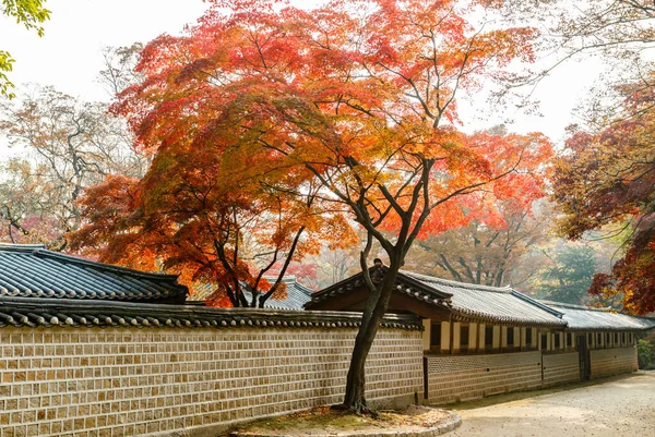 ソウル アジアのChangyengung宮殿のNakseongjaeホールで秋 — ストック写真