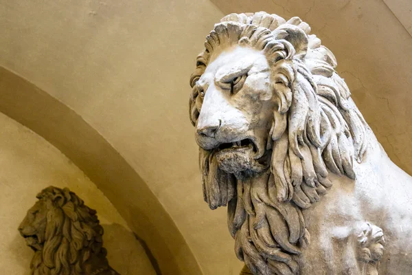 Μεγάλο Άγαλμα Λιονταριού Στο Palazzo Vecchio Δημαρχείο Της Φλωρεντίας Τοσκάνης — Φωτογραφία Αρχείου