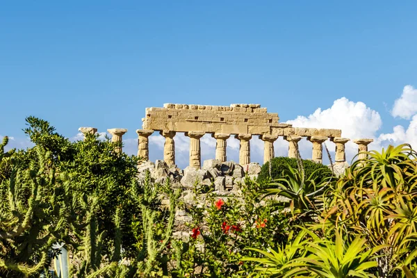 Yıkılmış Yunan Tapınağı Selinunte Sicilya Talya Avrupa Nın Sütunları — Stok fotoğraf