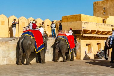 Filler üzerindeki turistler Jaipur, Rajasthan, Hindistan ve Asya 'daki Amber Kalesini ziyaret edecekler.