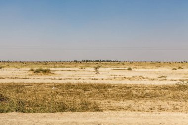 Bikaner ve Jaisalmer, Rajasthan, Hindistan ve Asya arasında bir çöl.