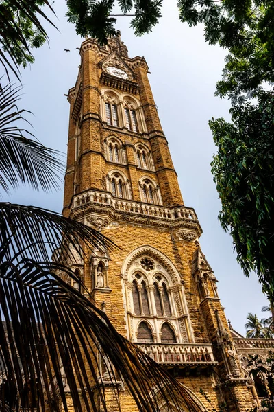 Rajabai Klocktorn Vid Universitetet Mumbai Fort Campus Södra Mumbai Maharashstra — Stockfoto