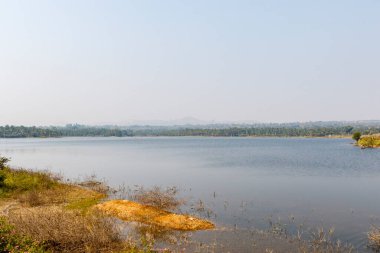 Karnataka, Hindistan ve Asya 'da palmiye ağaçları ile çevrili.