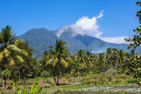 Vulcão Ativo Perto Watumita Flores Indonésia Ásia — Fotografia de Stock