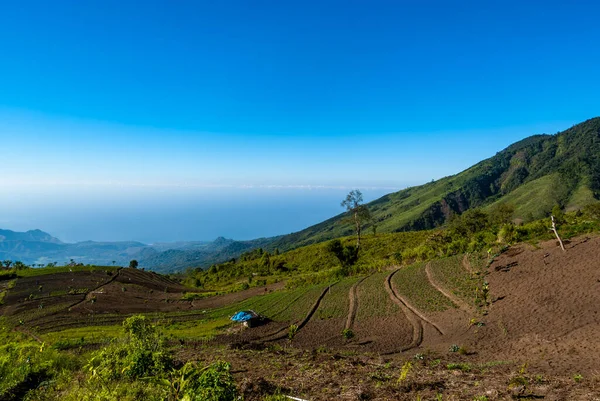Landwirtschaft Den Grünen Hängen Des Kelimutu Vulkans Flores East Nusa — Stockfoto