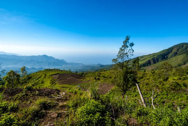 Agricultura Versanții Verzi Vulcanului Kelimutu Flores East Nusa Tenggara Indonezia — Fotografie, imagine de stoc