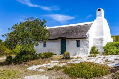 Struis Körfezi 'ndeki Beyaz Saray, Batı Burnu, Güney Afrika, Afrika