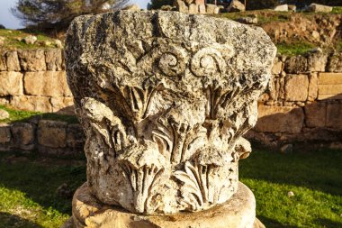 Jerash, Ürdün, Orta Doğu 'daki Korint Sütununun eski başkenti