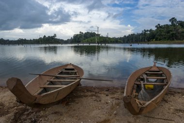 Güney Amerika, Suriname 'deki Ston Adası' ndan Brokopondo Gölü rezervuarı