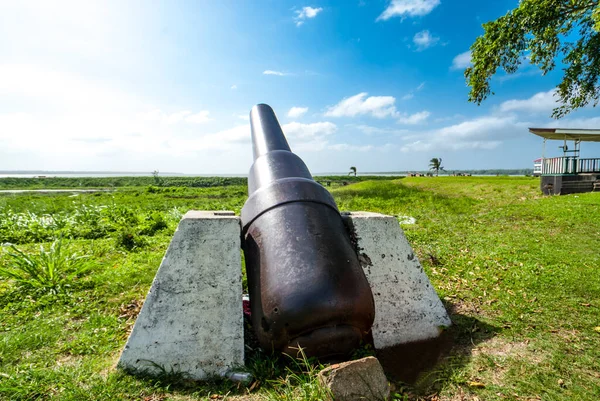 Cannon Fort Nieuw Amsterdam 수리남 남아메리카 — 스톡 사진