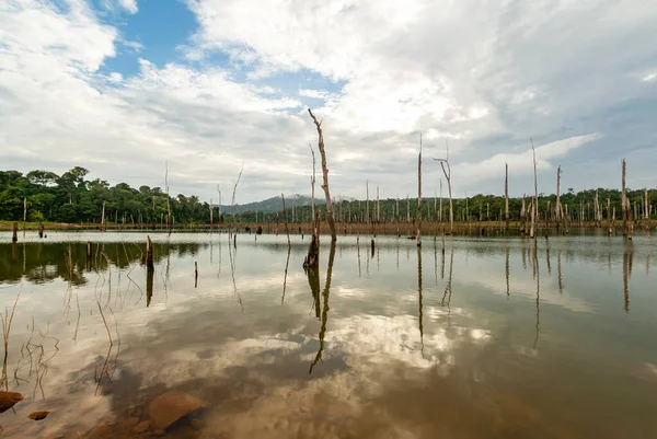Danau Brokopondo Reservoir Amd Pulau Ston Suriname Amerika Selatan — Stok Foto