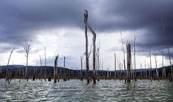 Nuages Sombres Dessus Réservoir Lac Brokopondo Suriname Amérique Sud Image En Vente