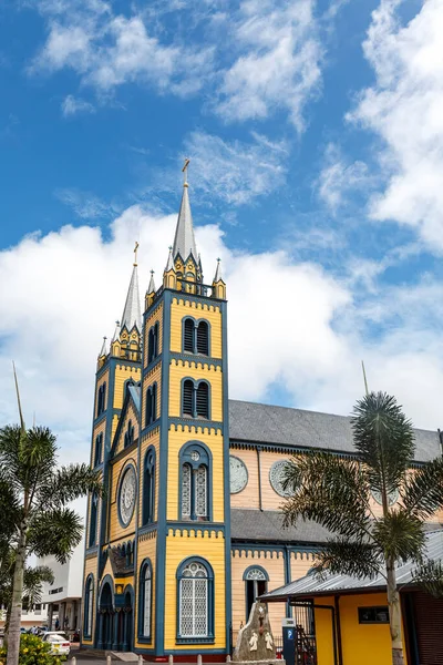 Exterior Saint Peter Paul Cathedral Paramaribo Suriname South America — Stock Photo, Image