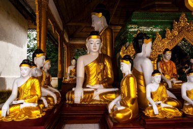 Shwedagon Pagoda 'sındaki Buda' lar Yangon, Rangoon, Myanmar, Asya 'daki Altın Pagoda.