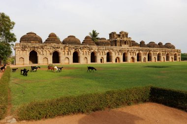 Fil Ahırı önünde keçi sürüsü, Vijayanagara İmparatorluğu 'nun kraliyet filleri için ahırlar Hampi, Karnataka, Hindistan, Asya