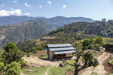 Bumthang, Doğu Butan, Asya 'daki dağlarda ineklerle çiftlikte.