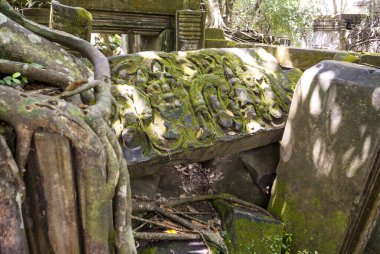 Beng Mealea, Angkor, Kamboçya, Asya harabeleri