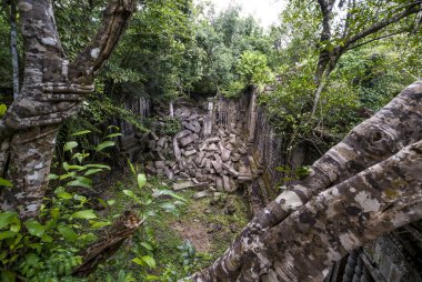 Beng Mealea, Angkor, Kamboçya, Asya harabeleri