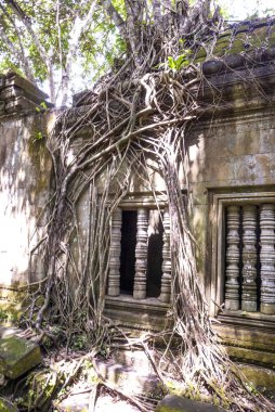 Beng Mealea, Angkor, Kamboçya, Asya harabeleri