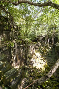 Beng Mealea, Angkor, Kamboçya, Asya harabeleri