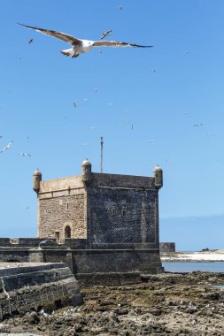 Borj El Barmil, Essaouira Kulesi. Essaouira limanı, Fas, Kuzey Afrika.