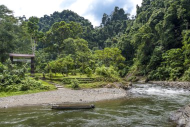 Gunung Leuser ulusal parkının girişi, Orangutan habitatı, Sumatra, Endonezya, Güneydoğu Asya