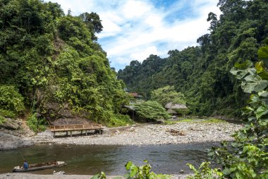 Gunung Leuser ulusal parkı, Orangutan habitatı, Sumatra, Endonezya, Güneydoğu Asya 'nın nehir ve yağmur ormanları manzarası