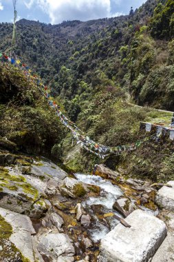 Nehir ve dua bayraklı dağ manzarası, Orta Butan, Asya