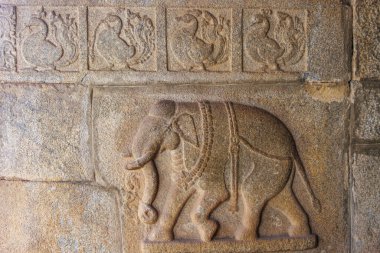 Hazararama Tapınağı 'nın dış duvarına fil oyması, Hampi, Karnataka, Hindistan, Asya