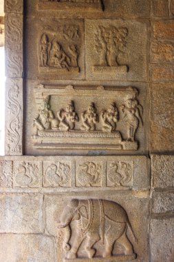 Hazararama Tapınağı 'nın dış duvarına fil oyması, Hampi, Karnataka, Hindistan, Asya