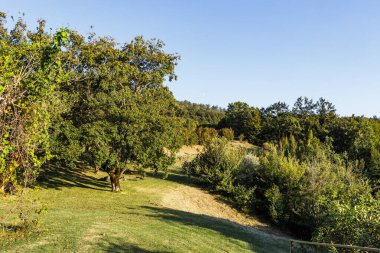 Vallfabrica, Umbria, İtalya ve Euro çevresindeki yemyeşil bahçeler