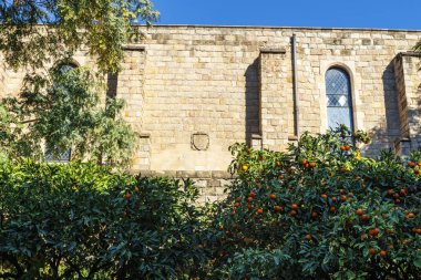 Barselona, Katalonya, İspanya ve Avrupa 'daki Barrio Gotico' daki eski ortaçağ hastanesinin dışında.