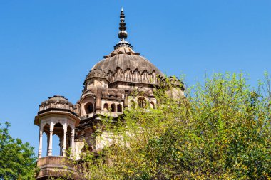 Mushir Zadi 'nin mezarı, Lucknow, Uttar Pradesh, Hindistan ve Asya' daki Kaiser Bagh Sarayı kompleks bahçesi.