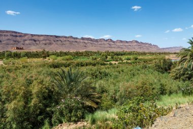 Fas 'taki Draa Vadisi' nin nehir ve yeşil vadisi - Kuzey Afrika