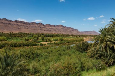 Fas 'taki Draa Vadisi' nin nehir ve yeşil vadisi - Kuzey Afrika